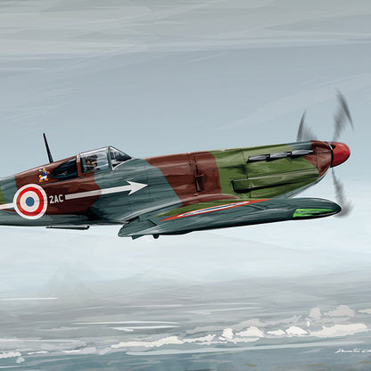 Dewoitine 520 - Marine