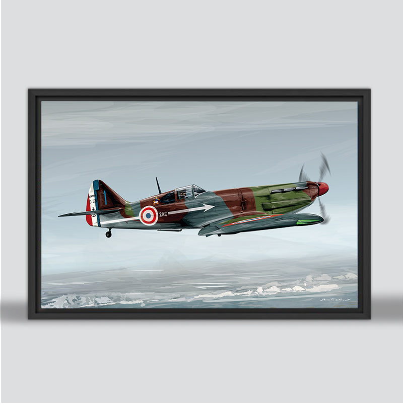 Dewoitine 520 - Marine