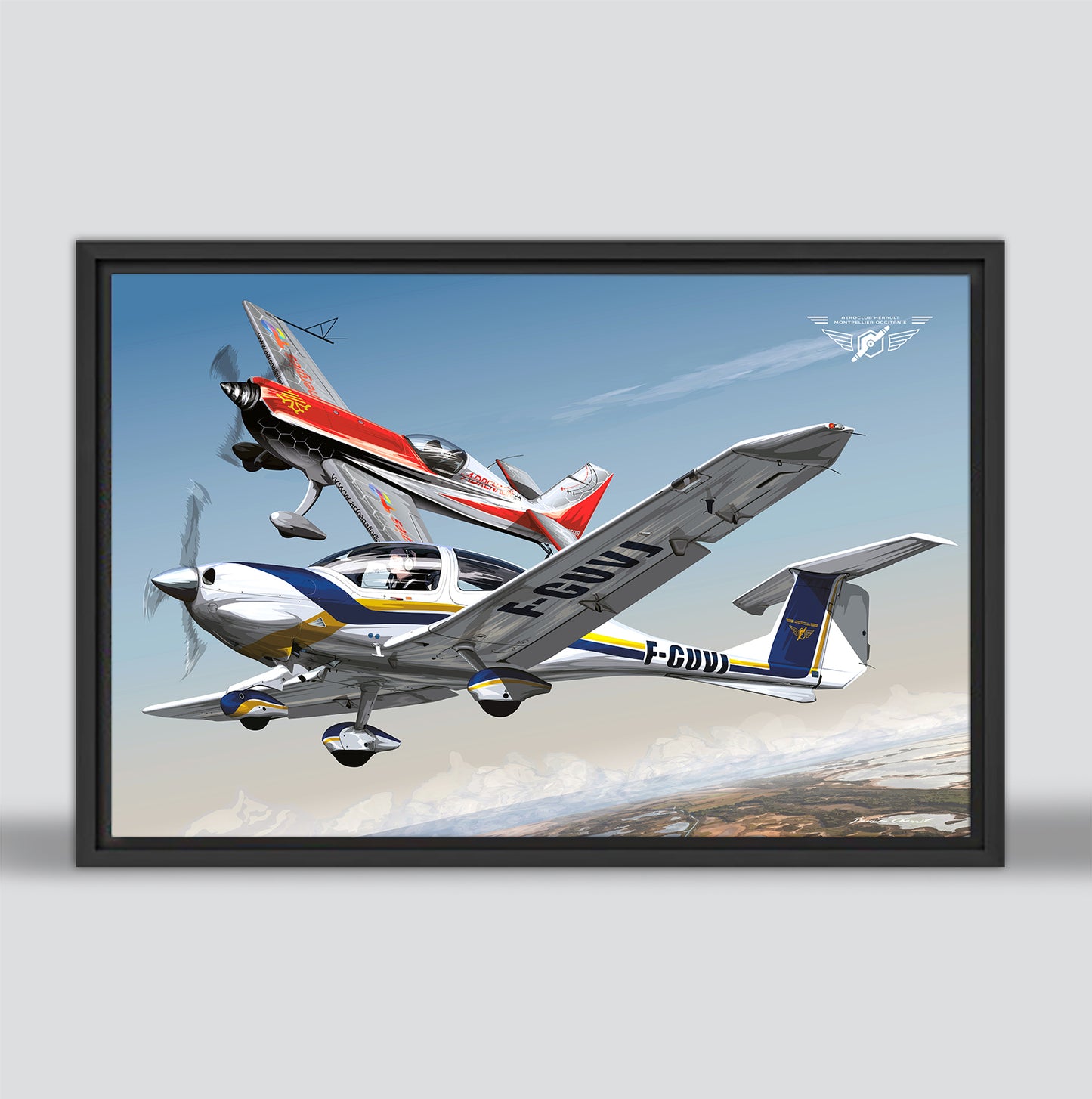 Aéroclub de l'Hérault