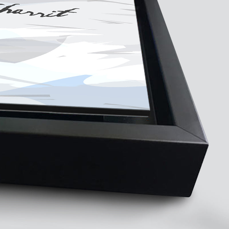 Vickers Viscount - Air Inter