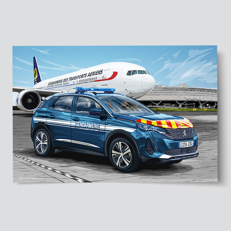 Gendarmerie des Transports Aérien