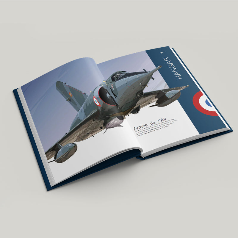 Damien Charrit - Peintre de l’Air et de l’Espace - ARTBOOK